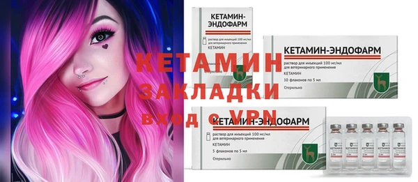 индика Алексин