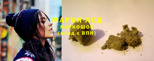 индика Алексин