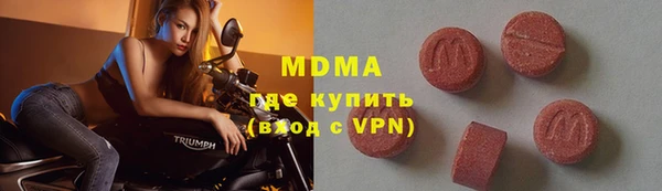 индика Алексин
