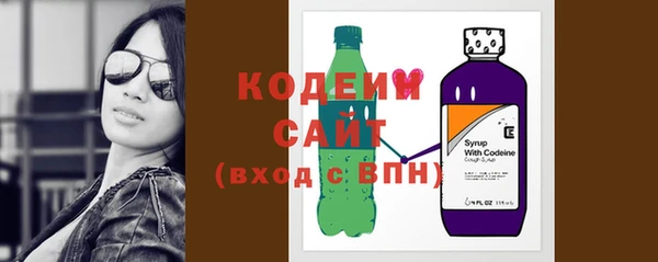 спиды Ельня