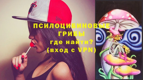 индика Алексин