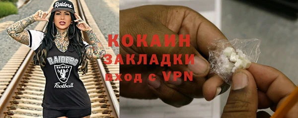 индика Алексин