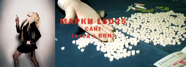 индика Алексин