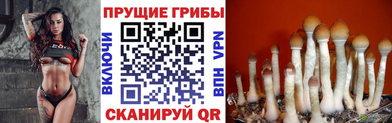Псилоцибиновые грибы ЛСД  Калтан 